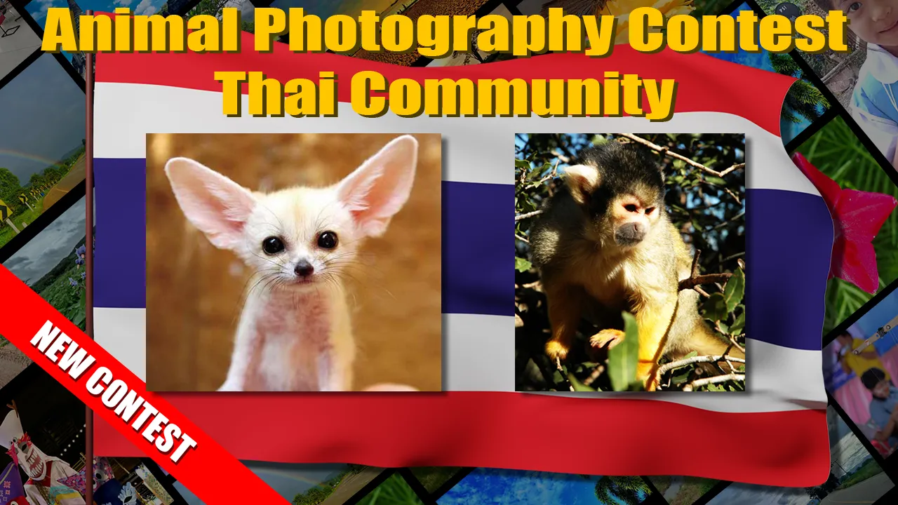thai_contest_small_animal.png