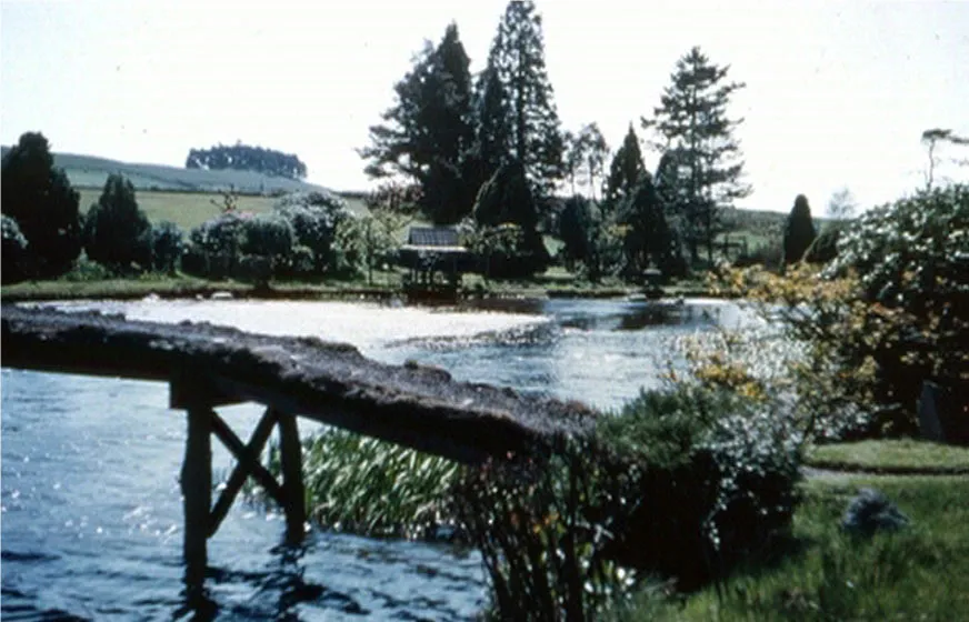 japanese-garden-may-1955-a.jpg