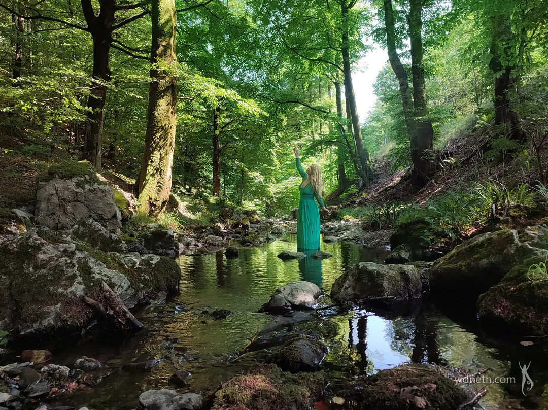summer_forest_forest_nymph.jpg