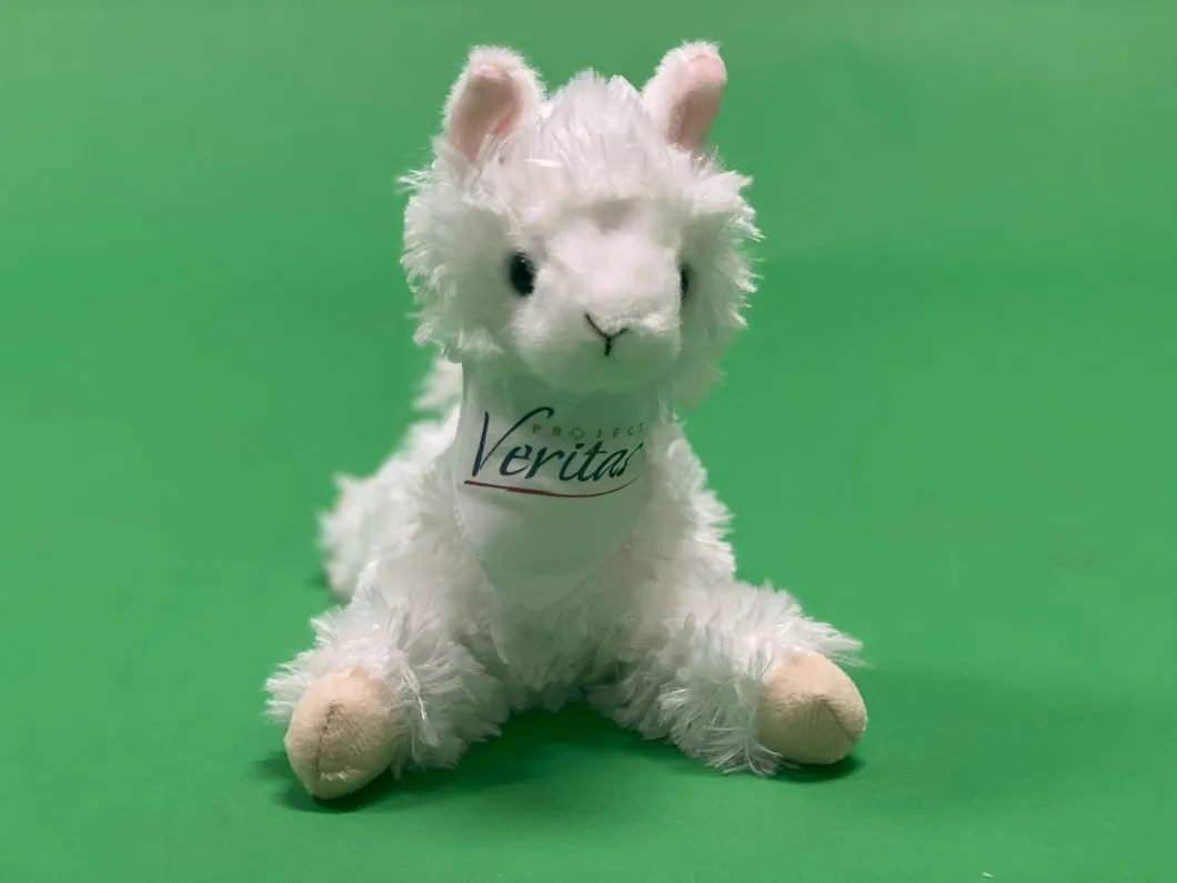 alpaca2_530x@2x-3678236572.jpg