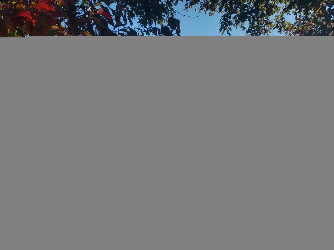 IMG_20211010_091510221_HDR.jpg