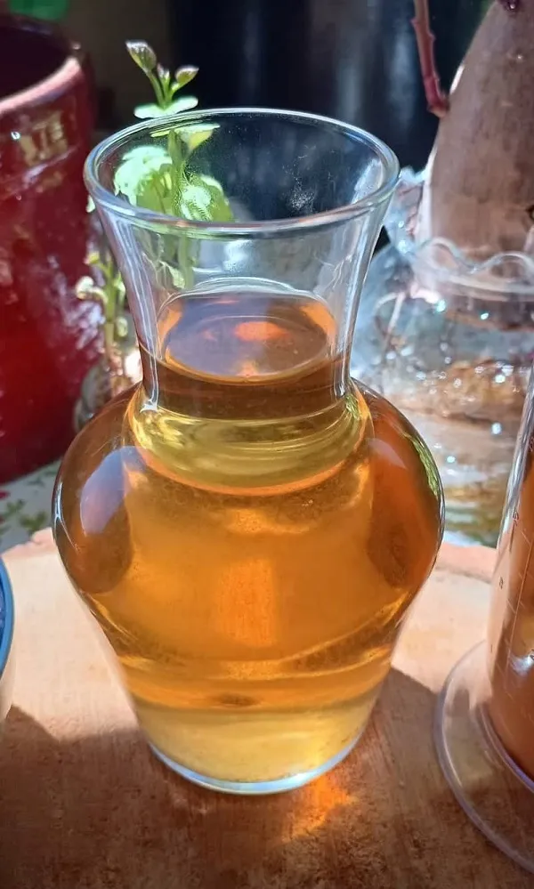 boiled potato water.jpg