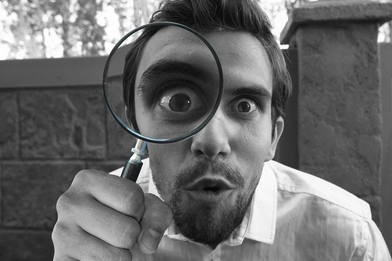 magnifying-g79fc50d20_1280.jpg