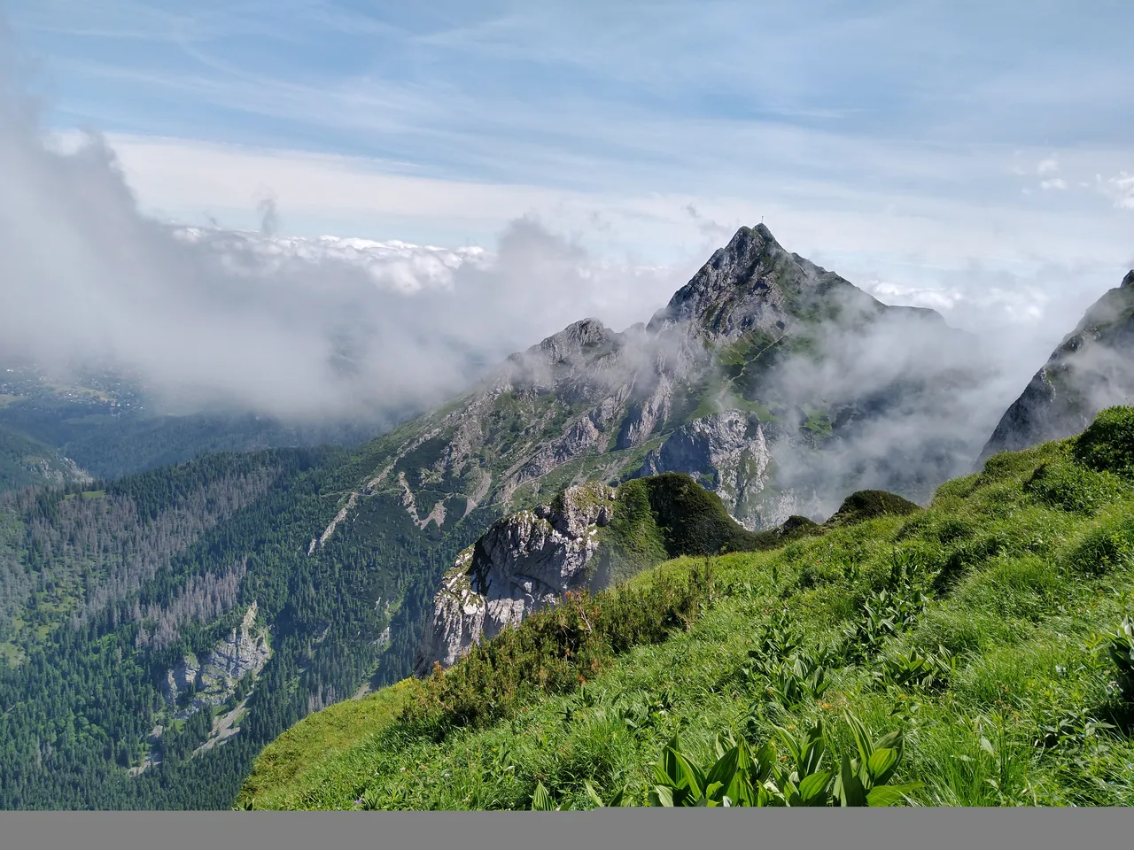 IMG_20210710_104509561_HDR.jpg