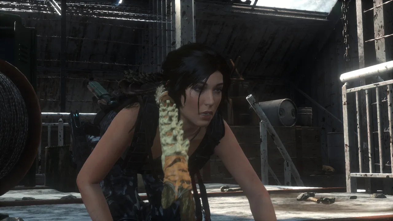 Tomb raider #15 (31).jpg