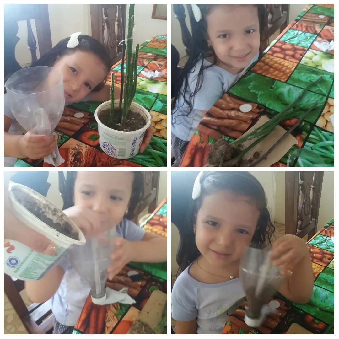 PhotoCollage_1623968039159.jpg