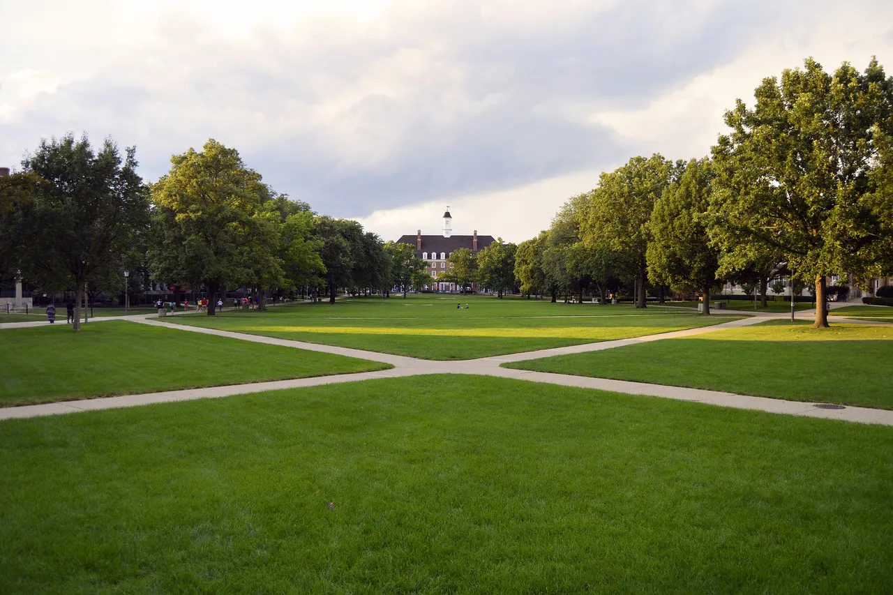 university-gae5c78ebb_1920.jpg