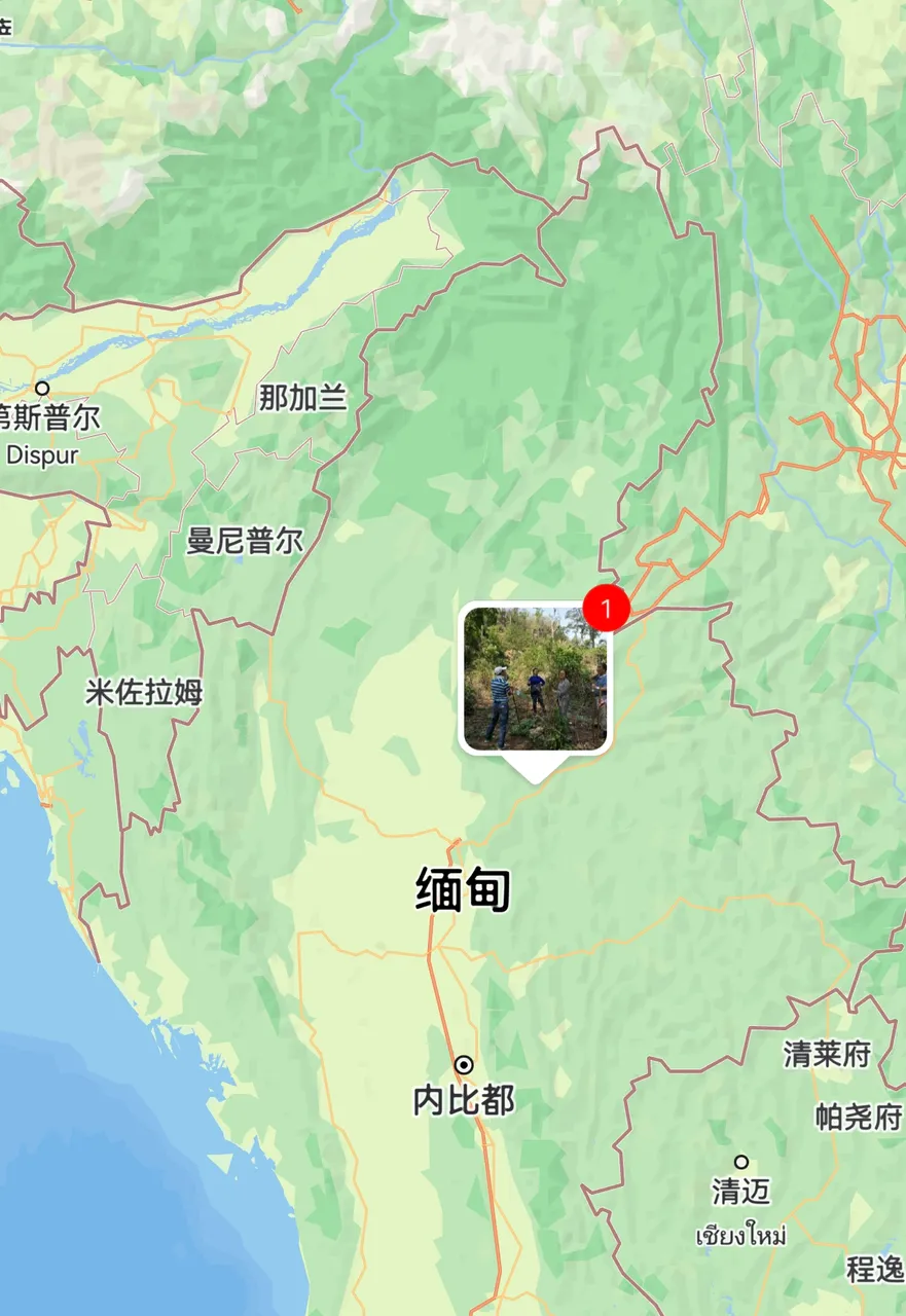 Screenshot_20250109_100145.jpg