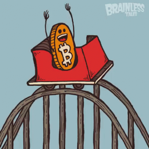 bitcoin-rollercoaster ride.gif