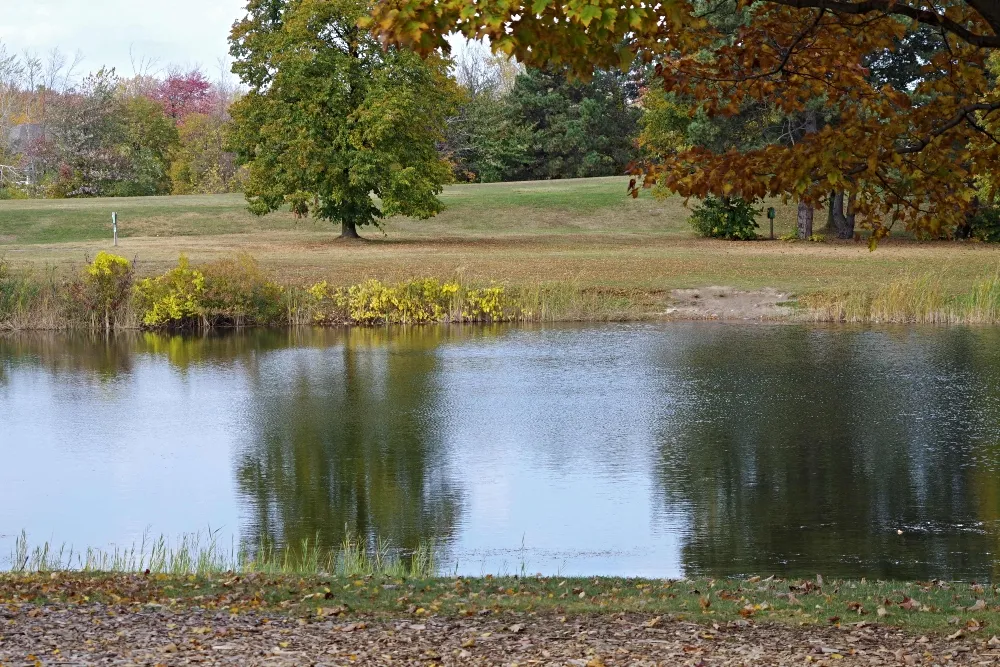 amazing-nature-fall-park-3.jpg