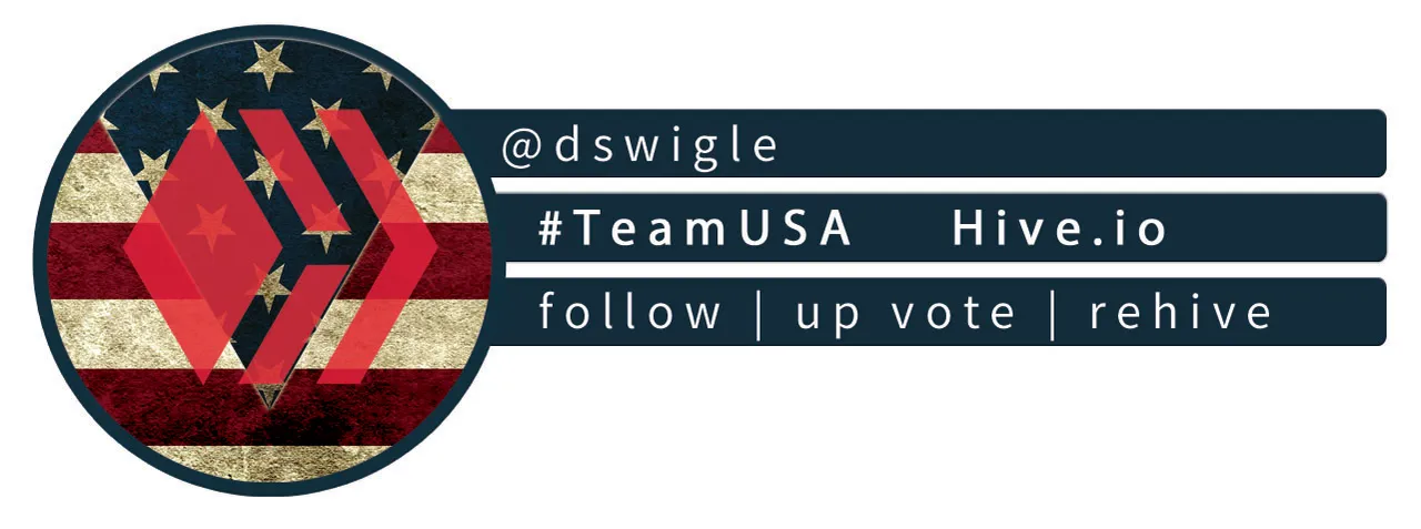 TEAMUSA-hive_dswigle (1).jpg