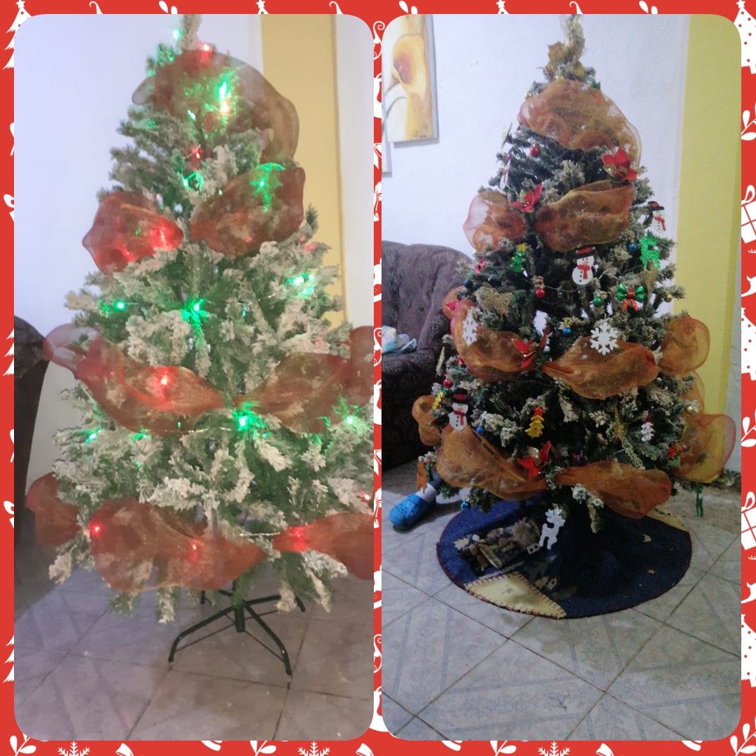 PhotoCollage_1639180719796.jpg