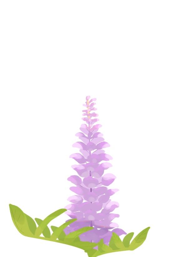 Screenshot_20260306-190850.jpg