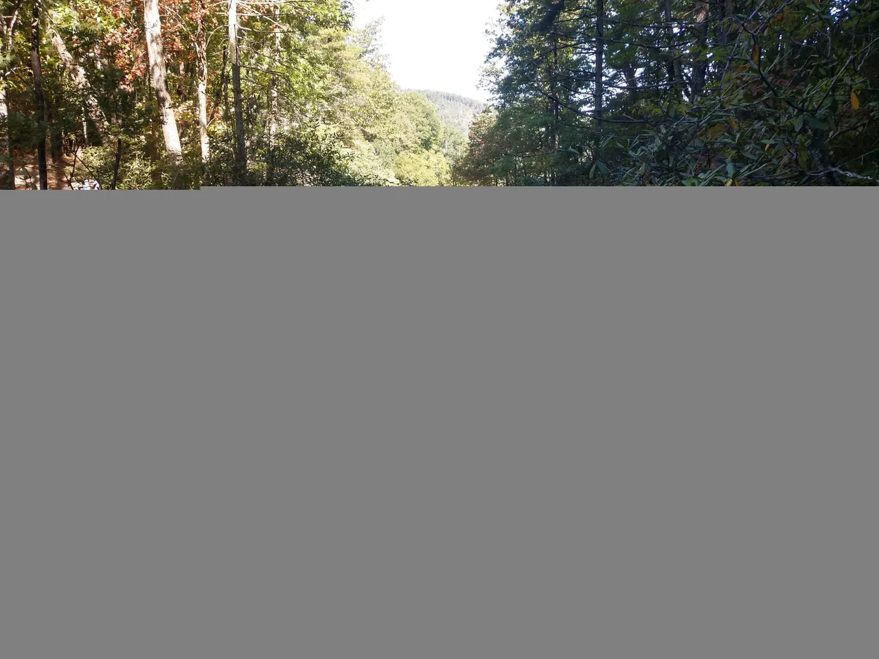 IMG_20211017_111439318_HDR.jpg