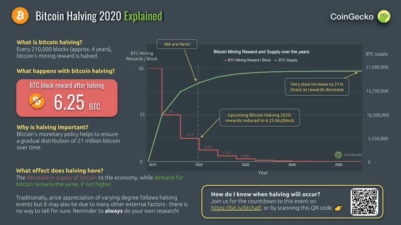 bitcoin-halving-explained.jpeg