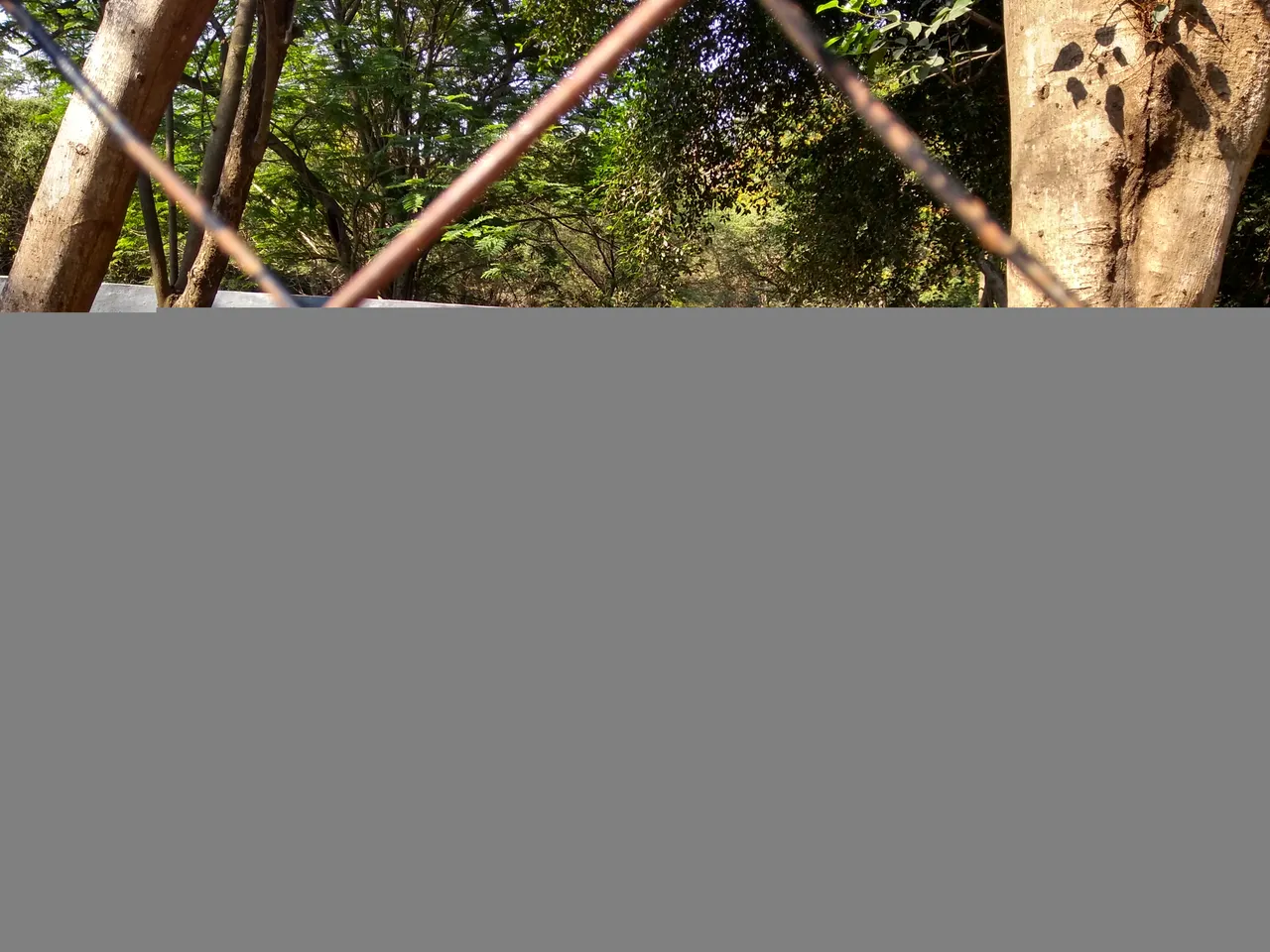 IMG_20230311_152718822_HDR.jpg