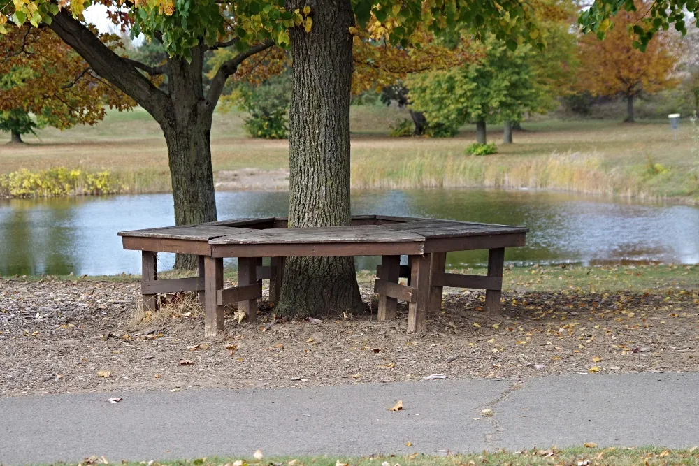 amazing-nature-fall-park-1.jpg
