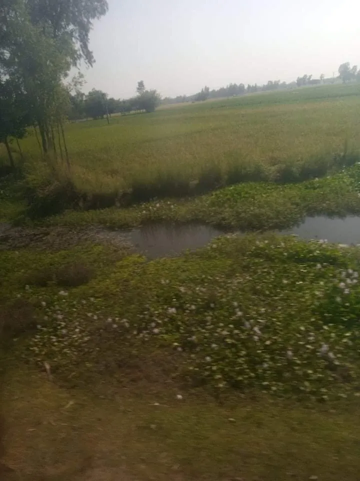 received_1515366572175396.jpeg