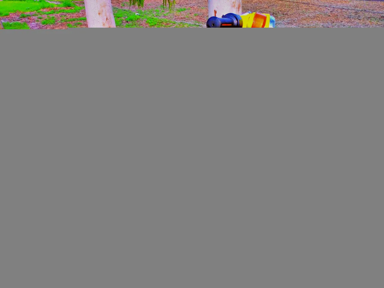 01EYMQN64XAGWDHA9MB9R5DDE8.jpg