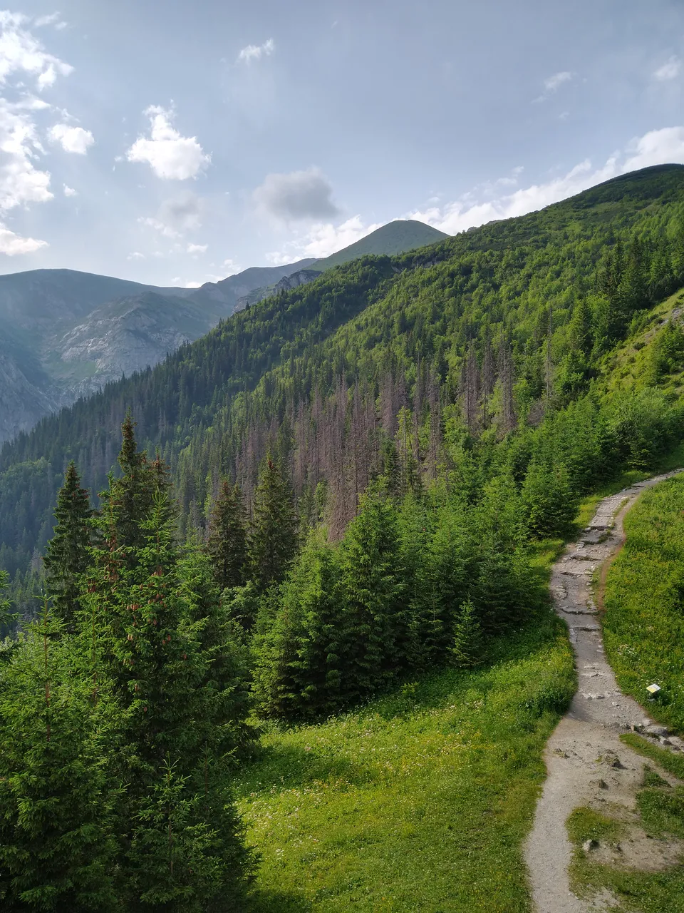 IMG_20210709_082500407_HDR.jpg