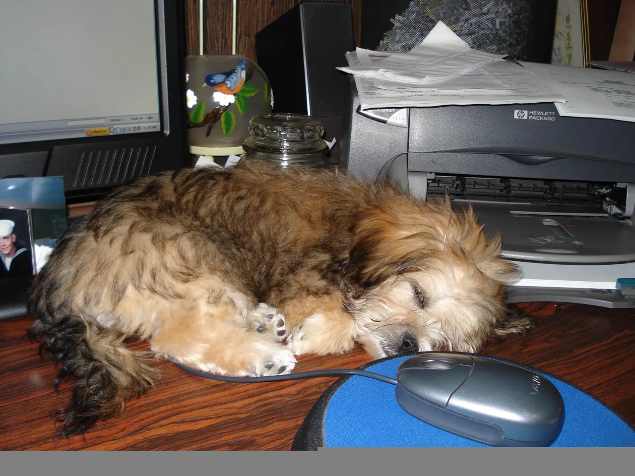 coco computer overload.jpg