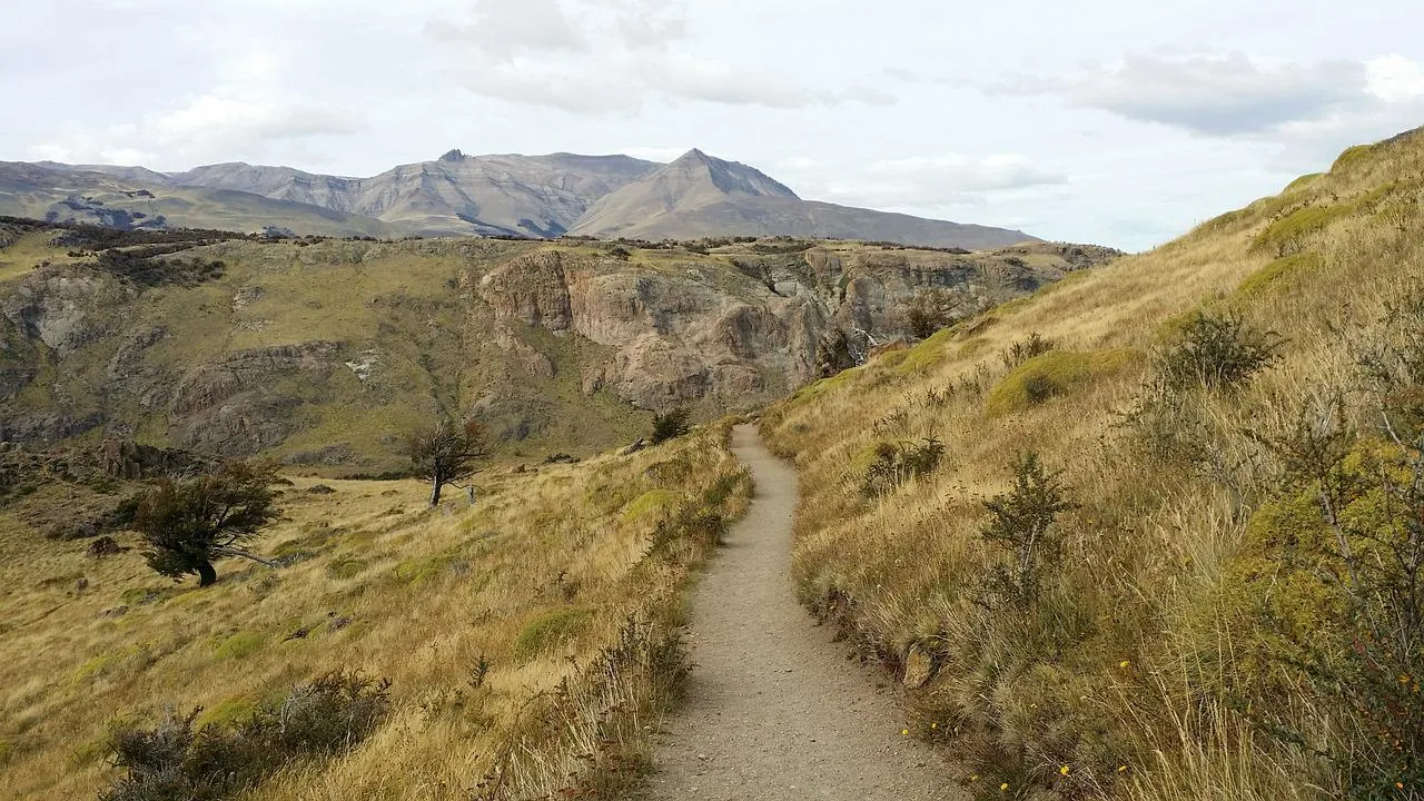 mountain-trail-363140_1280.jpg