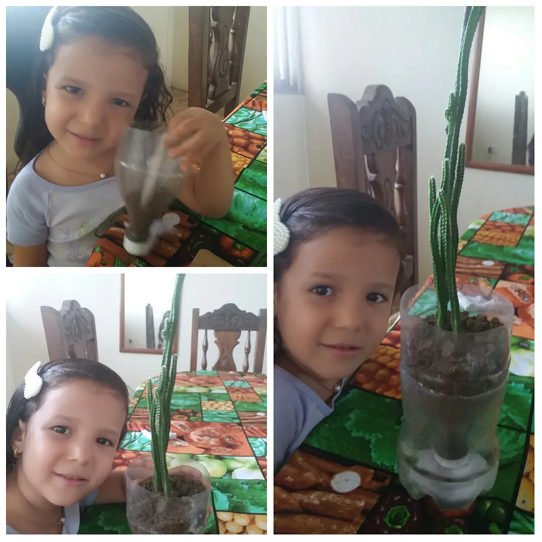 PhotoCollage_1623968089114.jpg
