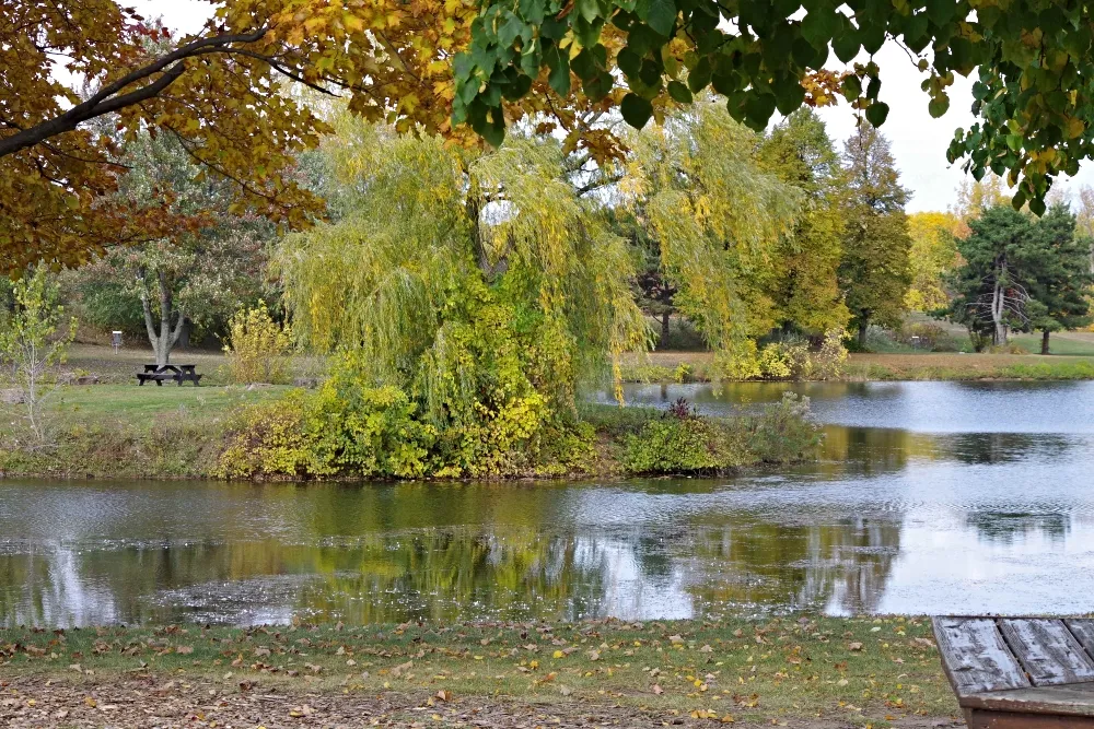 amazing-nature-fall-park-4.jpg