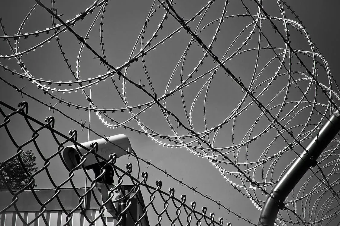"Grayscale Photo of Barbed Wire"