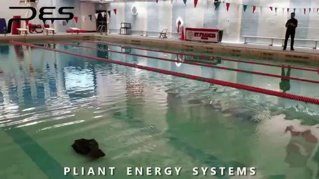 Velox3.mp4