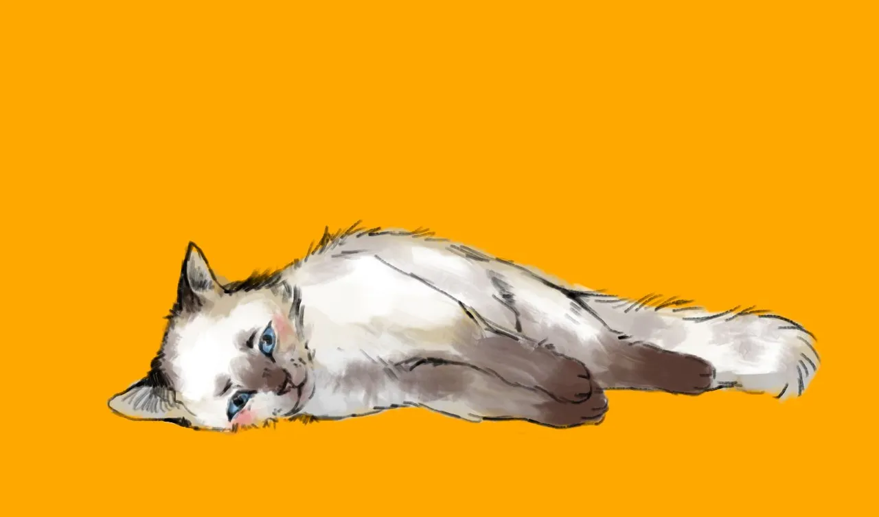 Daily Cat Drawings_16.jpg