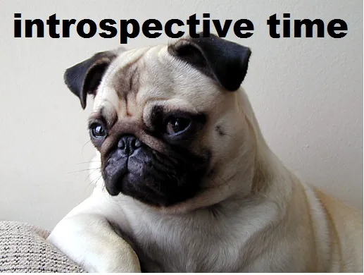 Introspection pug dog.jpg