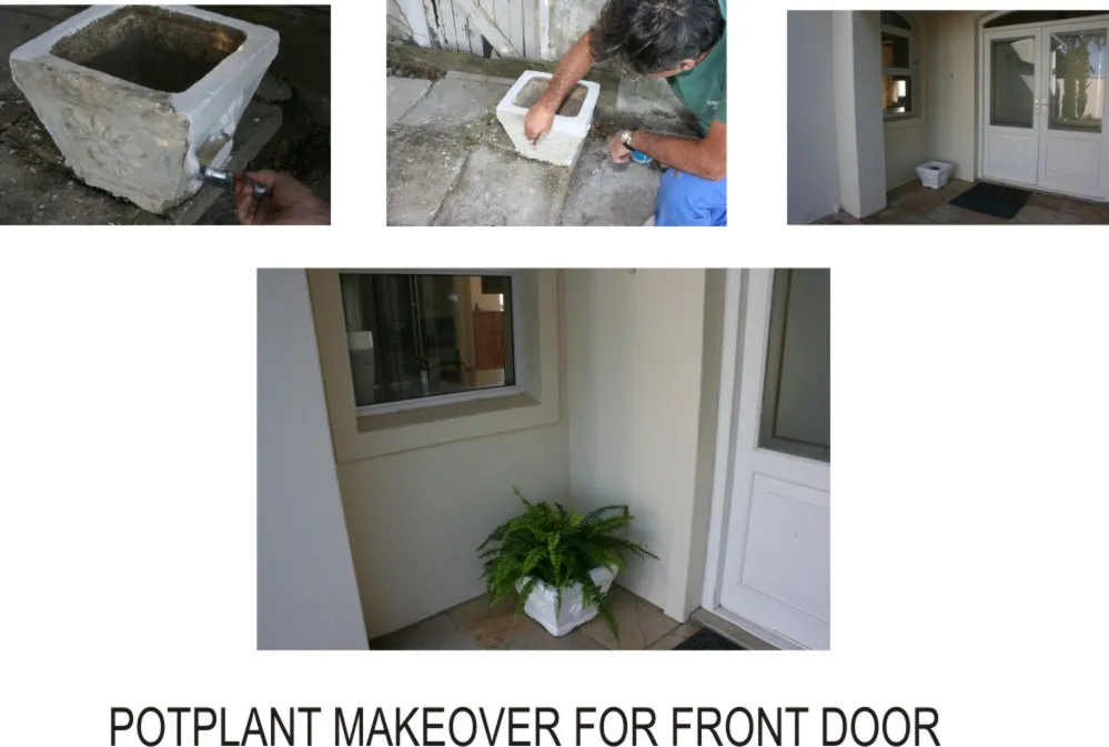 potplant makeover (2).jpg