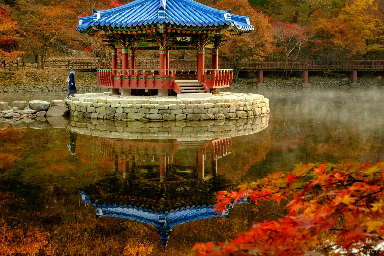 Naejangsan Autumn B-5.jpg