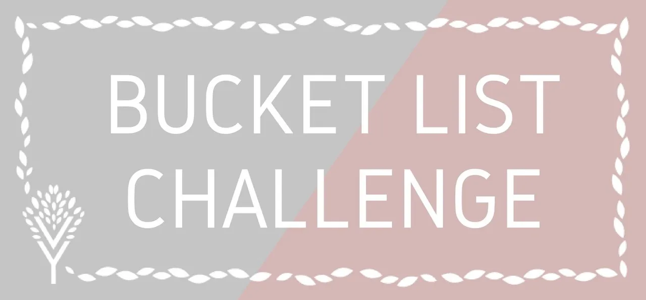 bucket list challenge.jpg