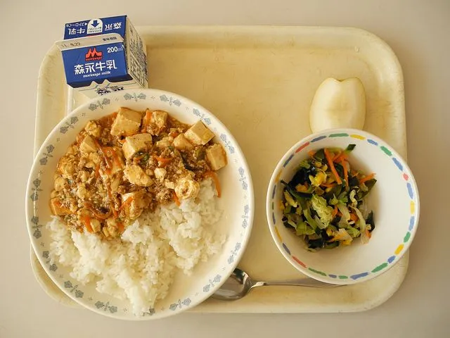 school-lunch-1734646__480.jpg