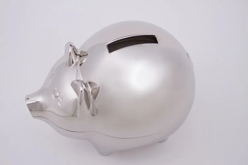 piggy-bank-661969_960_720.jpg