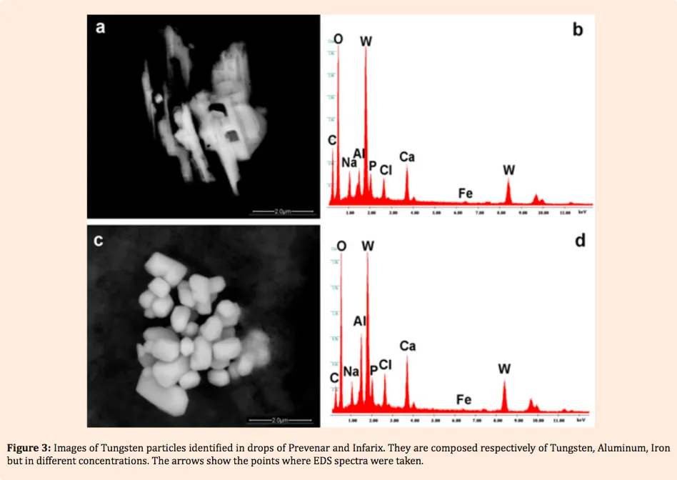 picturecontaminatedvaxx-3.png