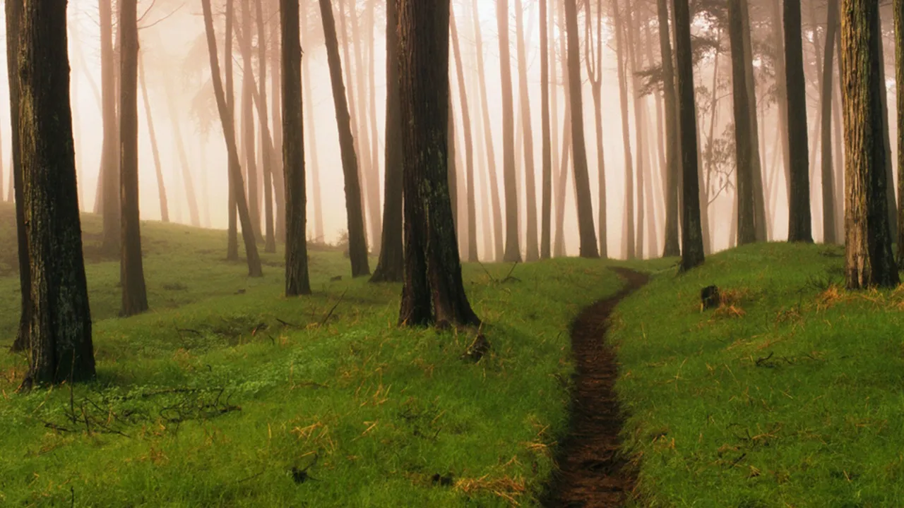 Off the Beaten Path.jpg