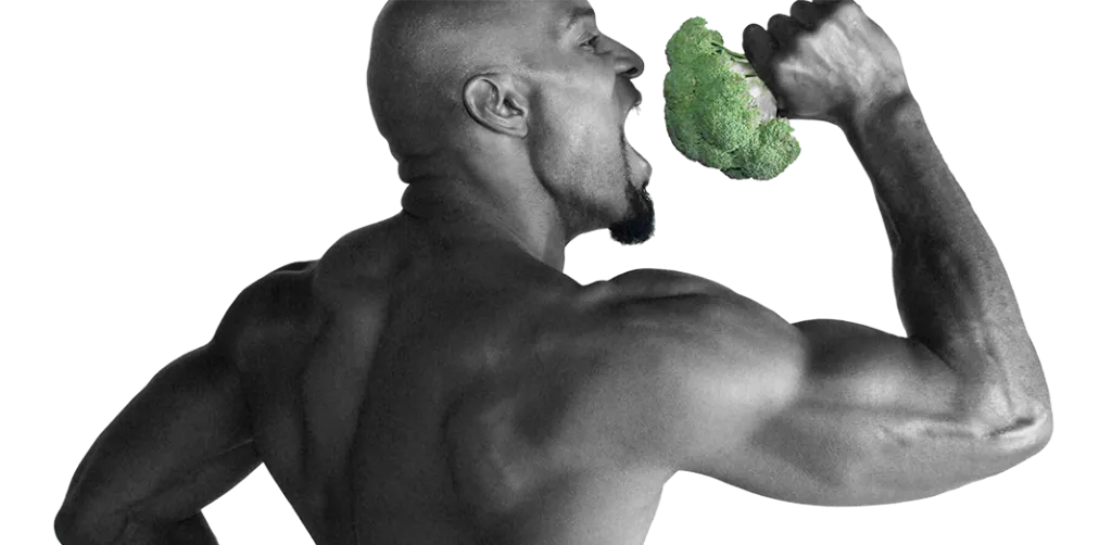 wayne-brocolli-2-1024x502.png