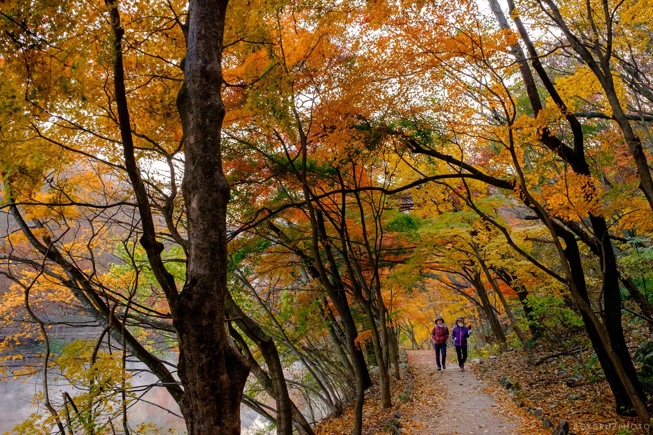 Naejangsan Autumn B-3.jpg