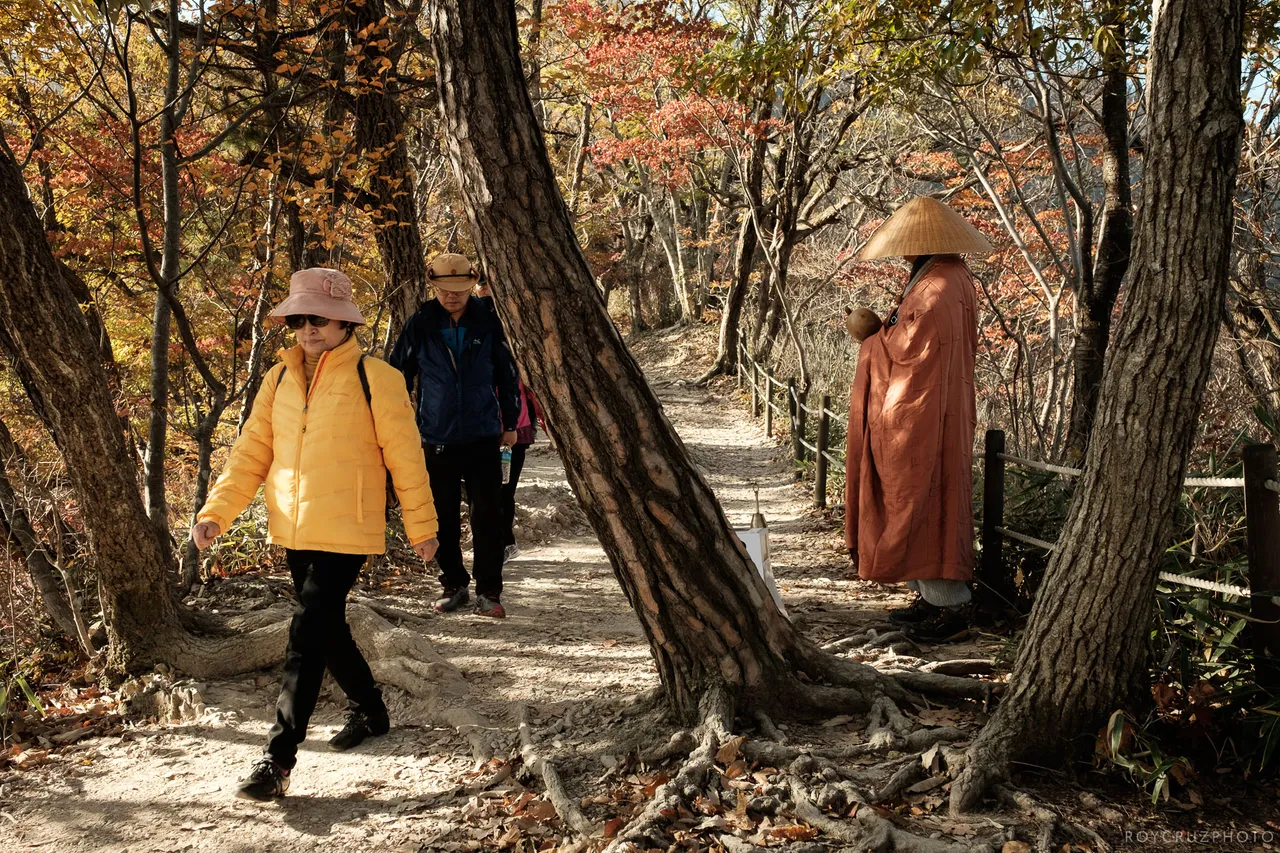 Naejangsan Autumn B-9.jpg