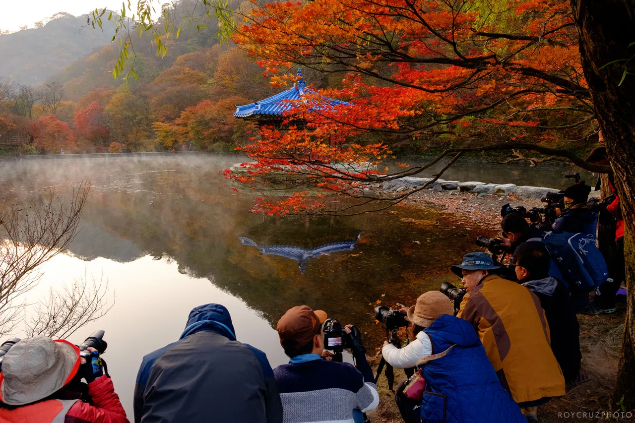 Naejangsan Autumn B-1.jpg