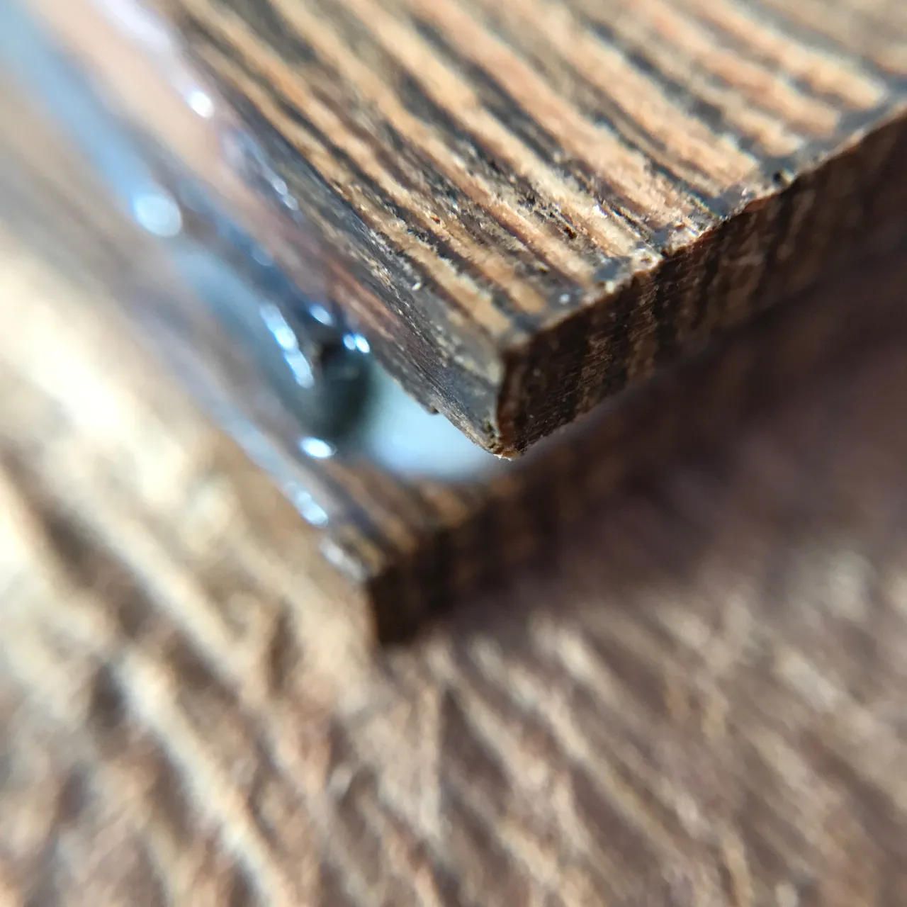 edelholzring-wenge-bocote.jpg