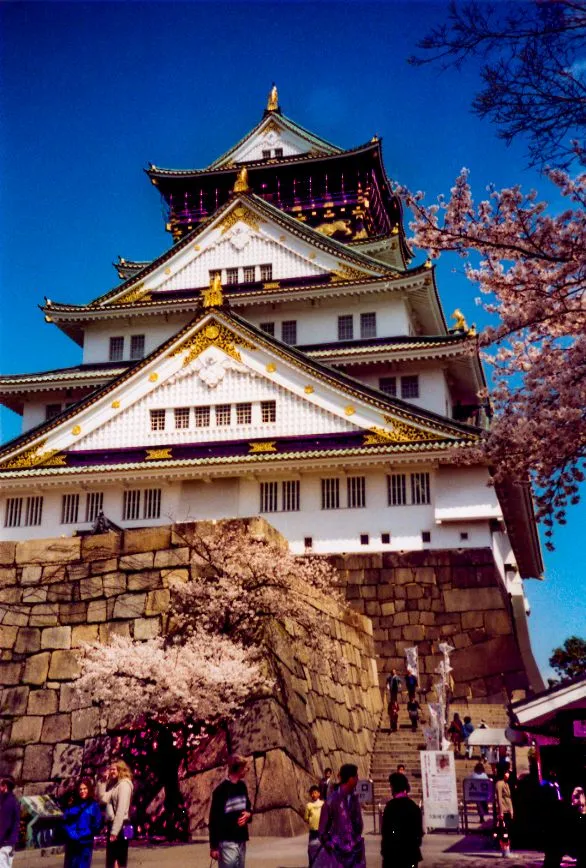 Temple with blossoms2.jpg