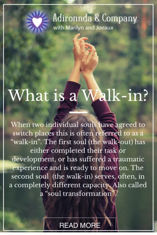 What-is-a-Walk-in-533x800.png