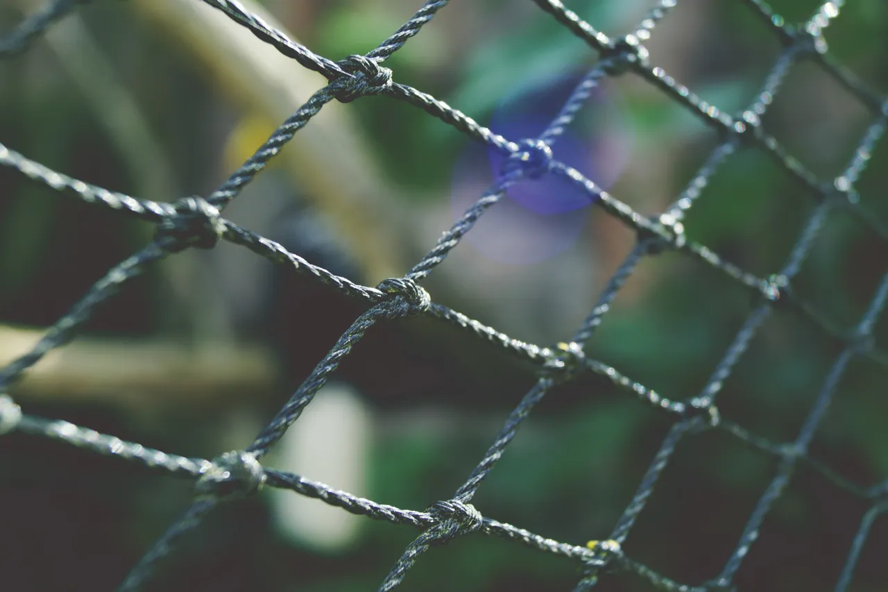 barrier-bokeh-cage-518959.jpg