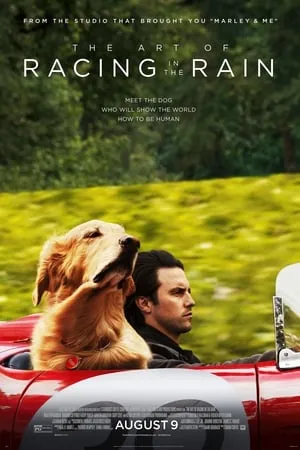 {[HD]}#FuLL PuTloCkeR'$!!   ☀  WatCH The Art of Racing in the Rain FuLL MOVIE and Free Movie Online  ☀