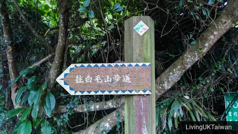 Hiking at Mount Baimao, Taiwan