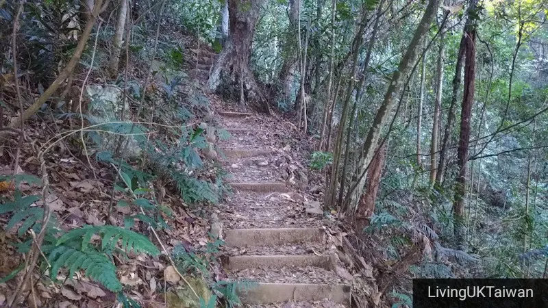 Hiking at Mount Baimao, Taiwan
